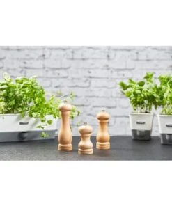 COLE & MASON Salzmühle Capstan Mit Verstellbarem Präzisionsmahlwerk Beige 5 COLE & MASON Salzmühle Capstan Mit Verstellbarem Präzisionsmahlwerk Beige -Kuechenutensilien Ladenverkäufe unnamed file 839